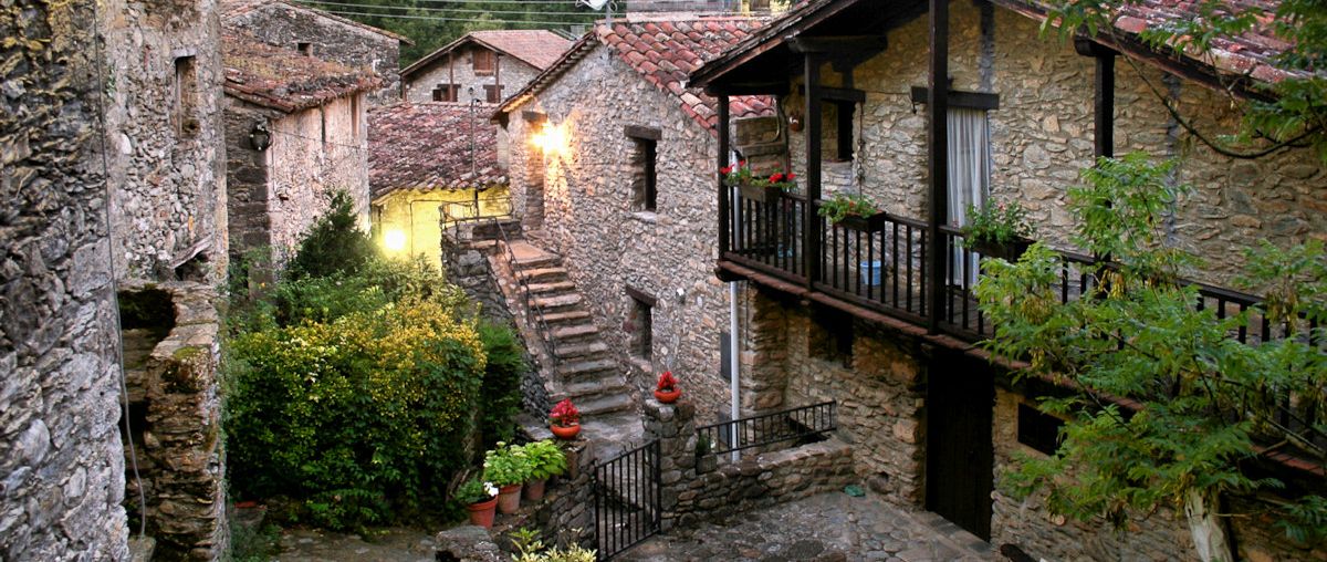 Beget