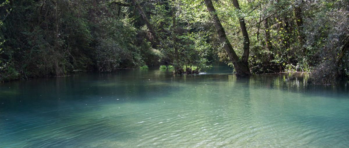 El Molí dels Murris