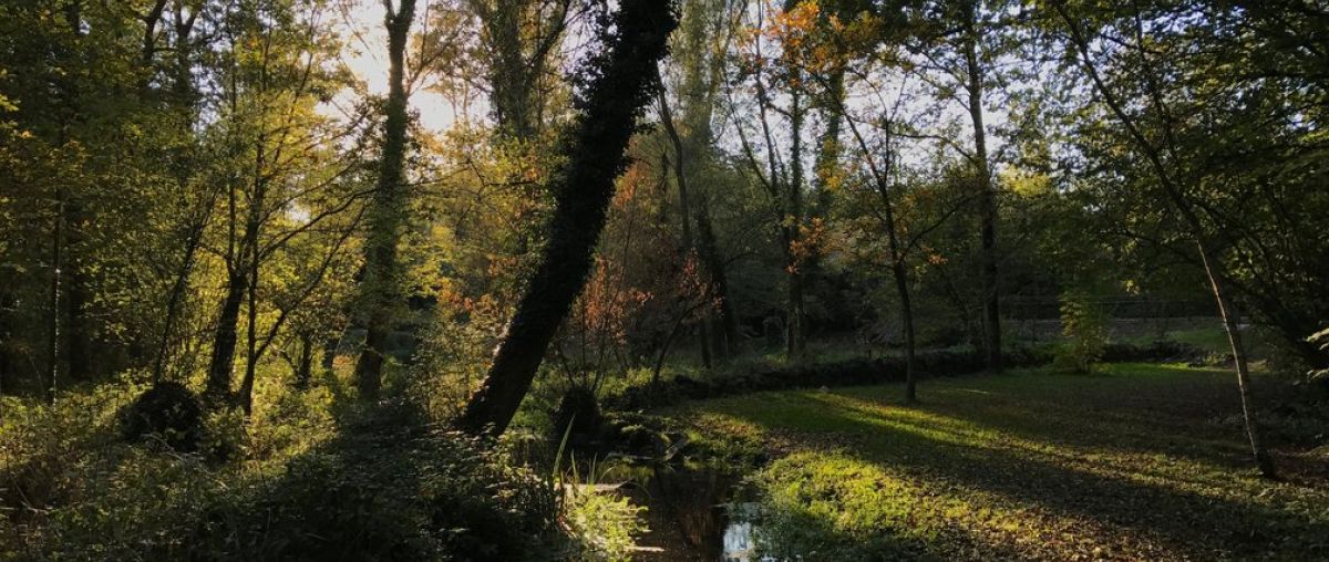 Aiguamolls de La Moixina