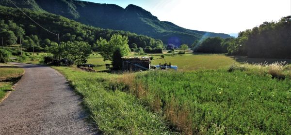 Surroundings
