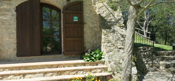Entrada