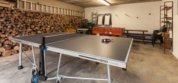 Ping-pong table
