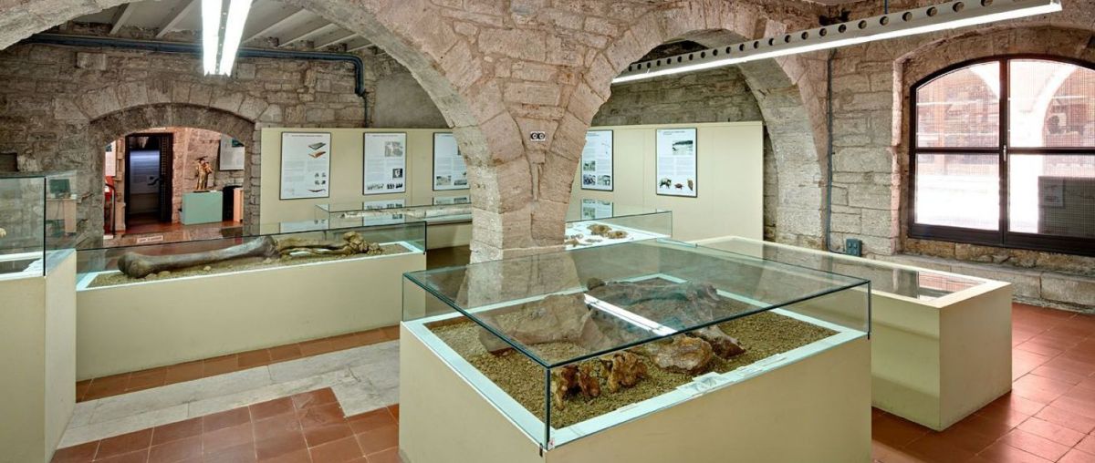 Museu Arqueològic de Banyoles