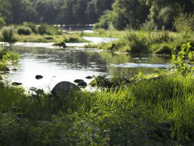 Río Fluvià