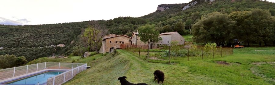 Historic Farmhouse in the Heart of Alta Garrotxa