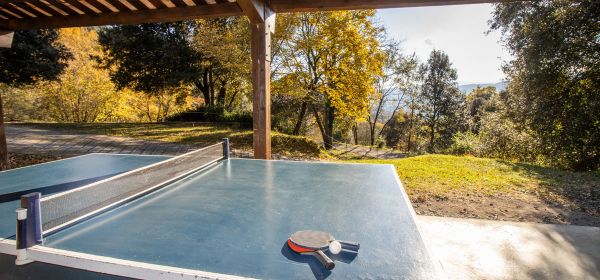 Ping-pong