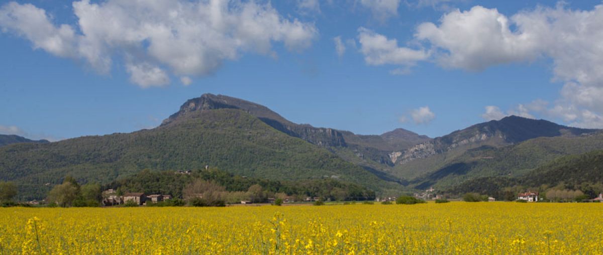 Puigsacalm (por Coll de Bracons)