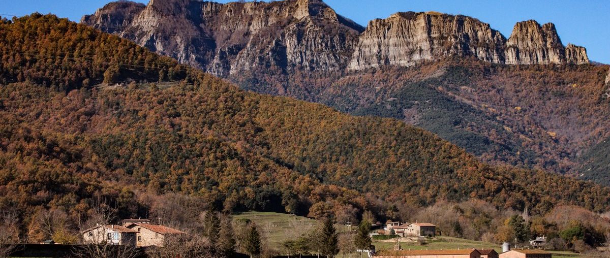 Puigsacalm (per Coll de Bracons)