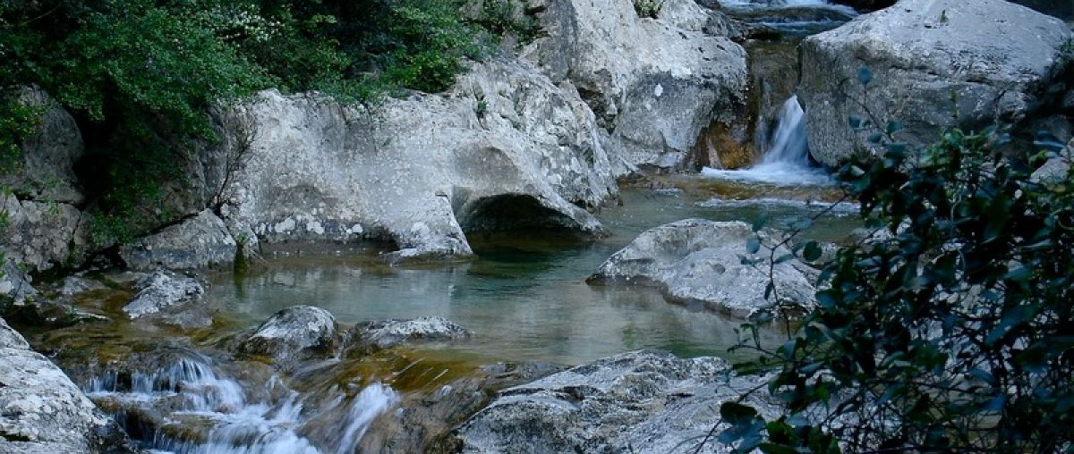 Sadernes - Sant Aniol d'Aguja