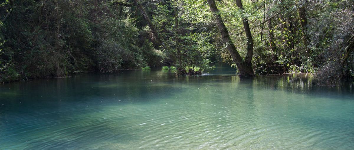 El Molí dels Murris