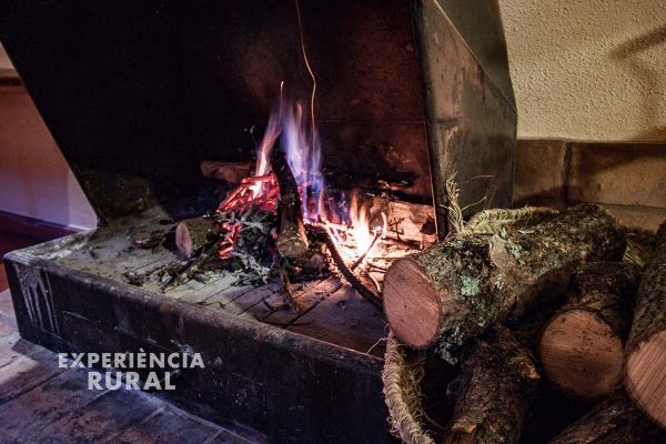 Foc de terra