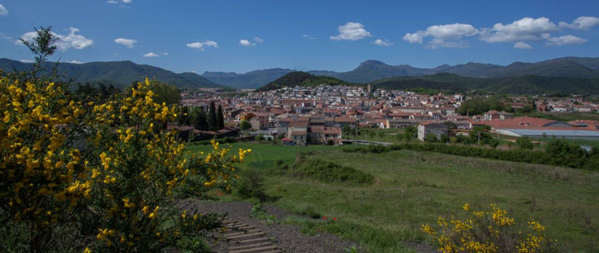 Volcà Montsacopa des d'Olot