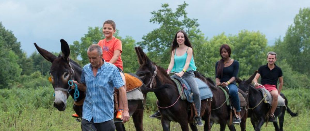 Passeada en burro