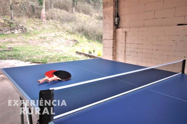 Ping pong