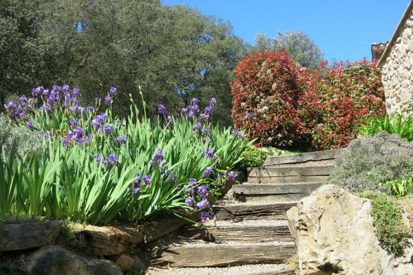 Jardín