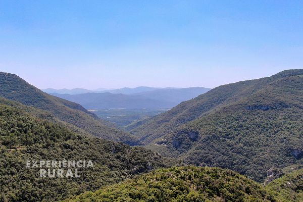 Vistas